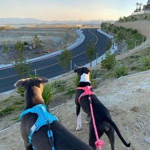 Meet your Posher, Francisco